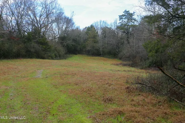 $235,750 | Learned Road, Raymond, MS 39154