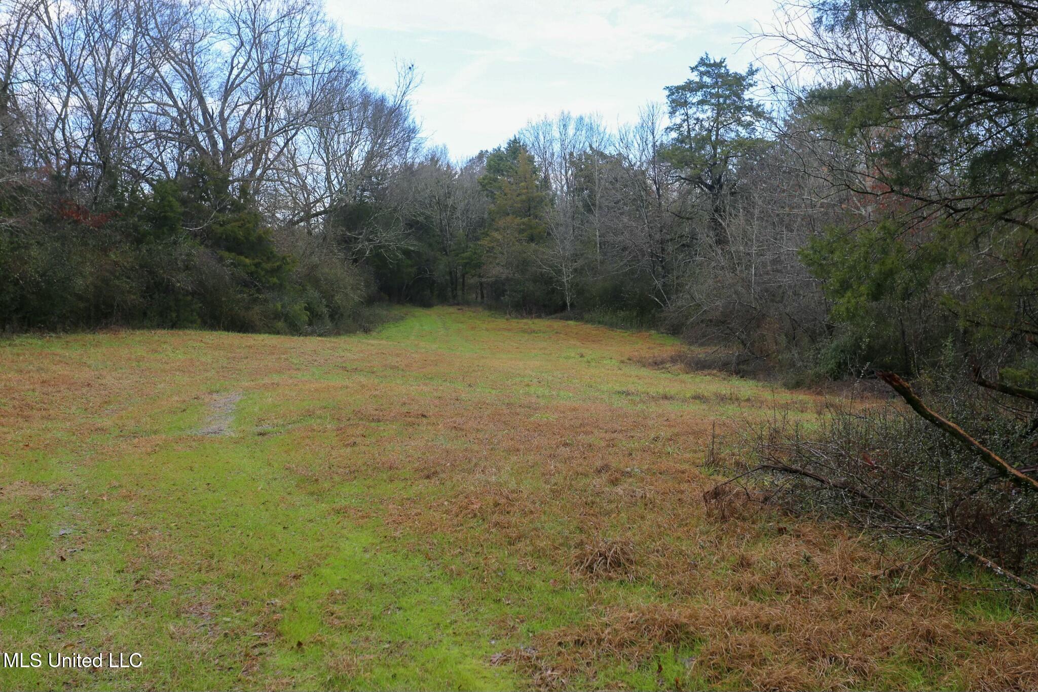 Learned Road Raymond, MS 39154 - Photo 4 of 20 tempImageiQSlcq