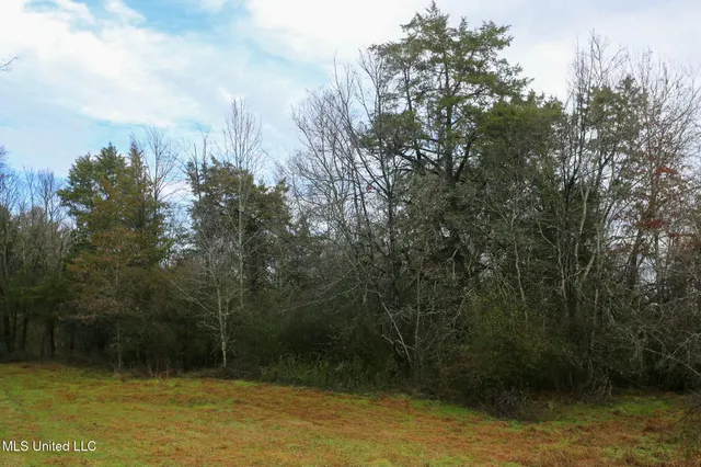 $235,750 | Learned Road, Raymond, MS 39154