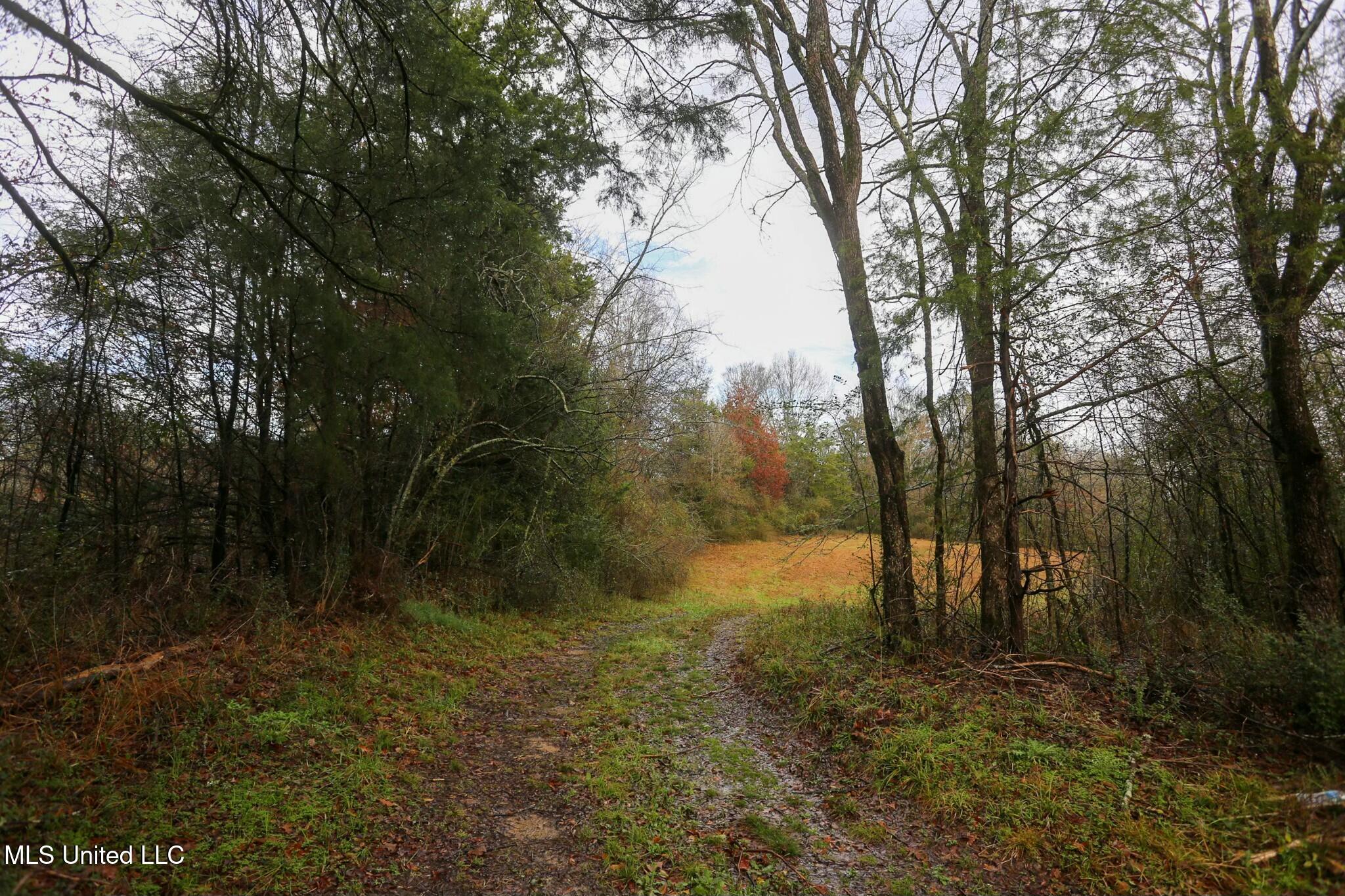 Learned Road Raymond, MS 39154 - Photo 6 of 20 tempImagePLwOAH