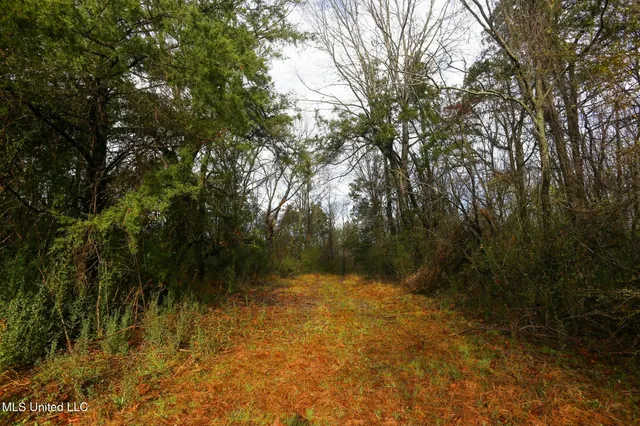 $235,750 | Learned Road, Raymond, MS 39154