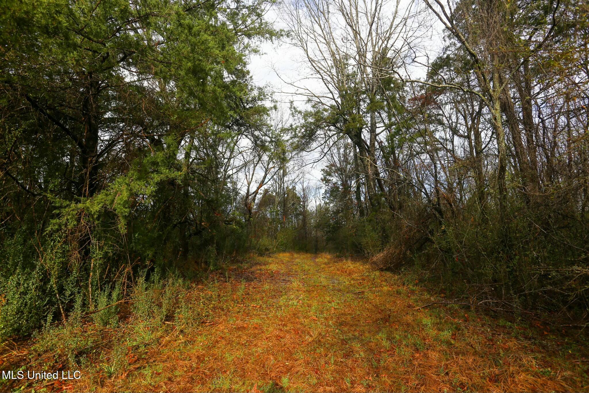 Learned Road Raymond, MS 39154 - Photo 7 of 20 tempImageicx8HM