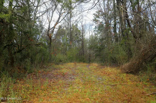 $235,750 | Learned Road, Raymond, MS 39154