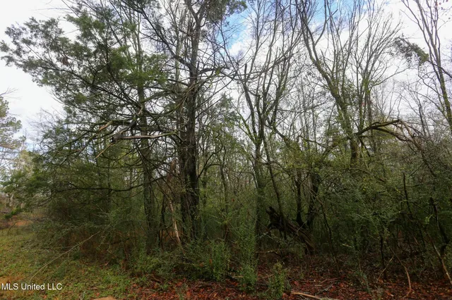 $235,750 | Learned Road, Raymond, MS 39154