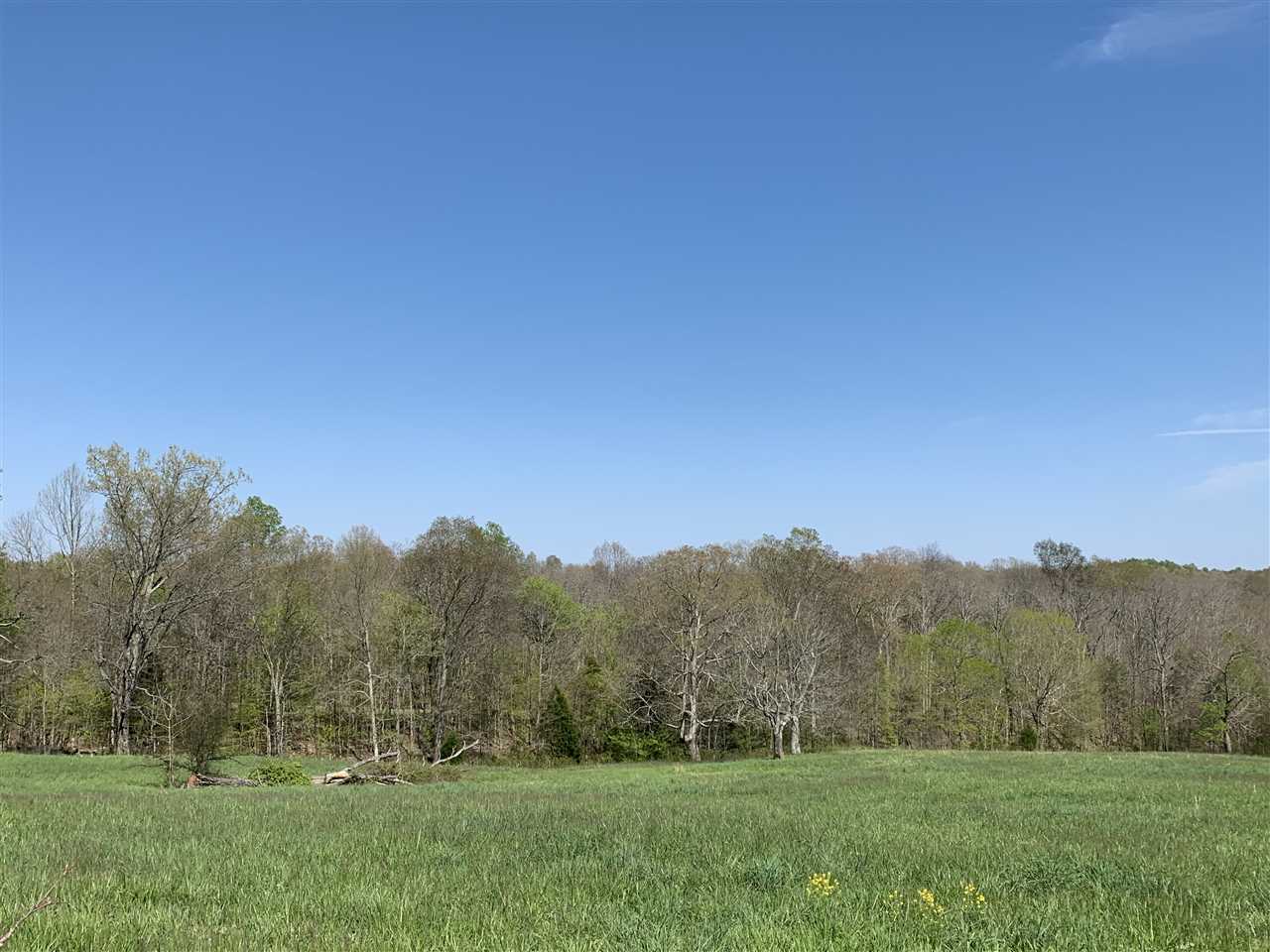 0 Grancer Road Morgantown, KY 42261 - Photo 5 of 14 Gallery Image 5