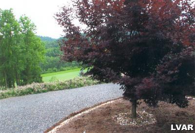 3216 Jordan Road Orefield, PA 18069 - Photo 53 of 60 Gallery Image 53