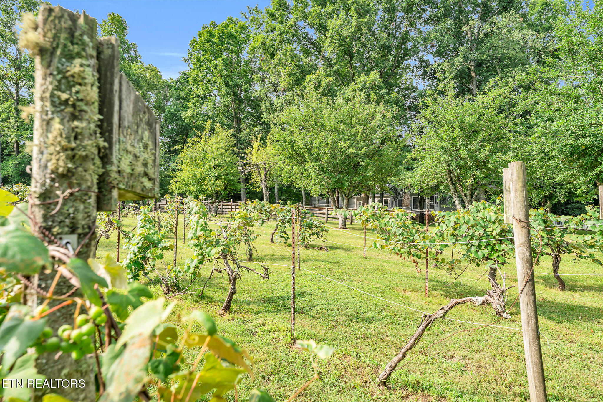 2570 Martha Washington Road Clarkrange, TN 38553 - Photo 16 of 59 MLS-15