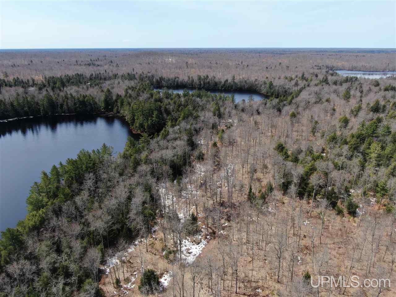 0 Old Seney Road Seney, MI 49883 - Photo 7 of 31