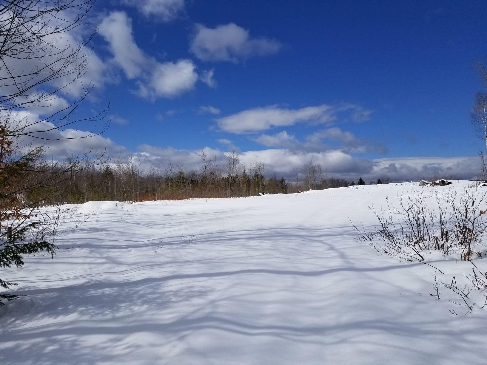 0 Rangeley Road Avon, ME 04966 - Photo 18 of 62 18 Cleared area