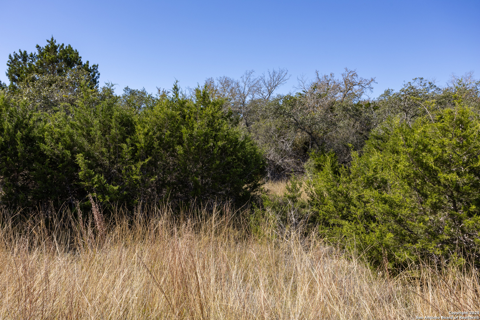 Block 3-lot 1 Easy Money Boerne, TX 78006 - Photo 3 of 8 a view of a yard with a tree