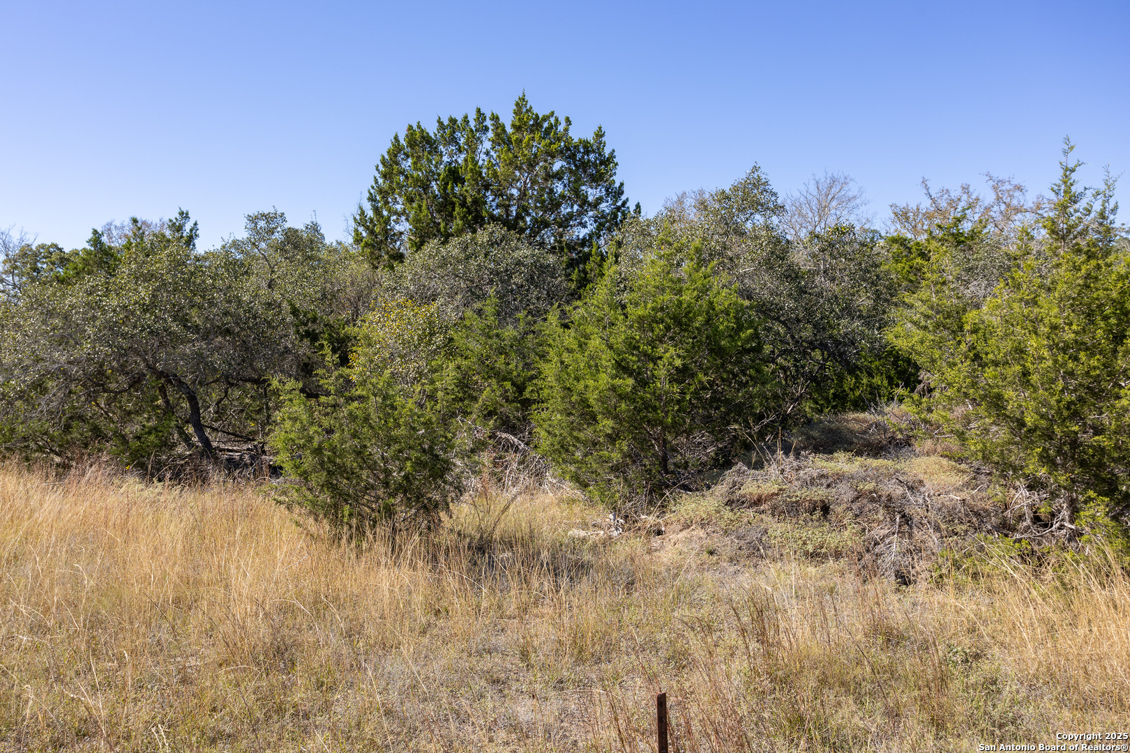 Block 3-lot 1 Easy Money Boerne, TX 78006 - Photo 4 of 8 a view of a yard with a tree in the background