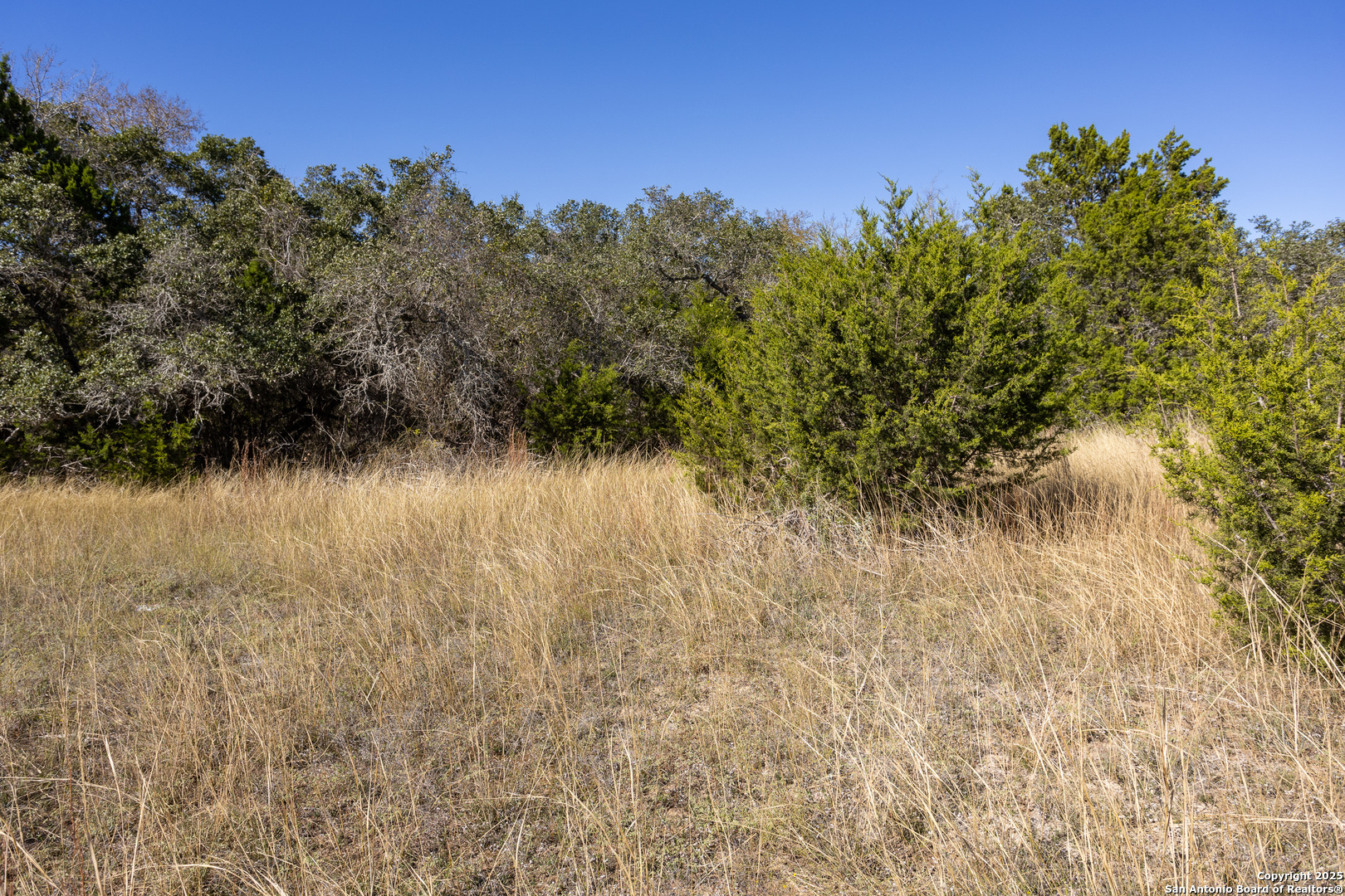 Block 3-lot 1 Easy Money Boerne, TX 78006 - Photo 6 of 8 a view of a lake