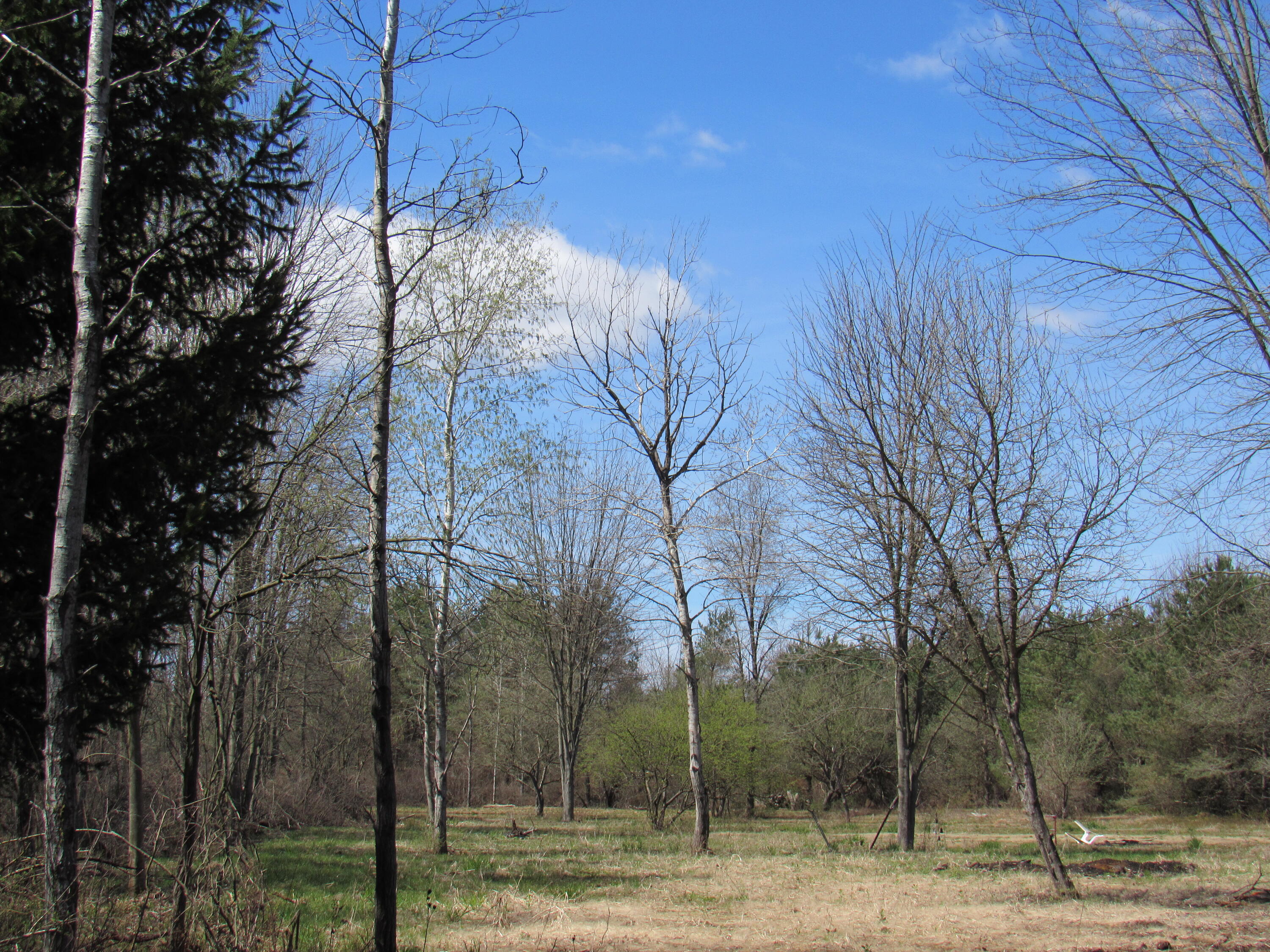 3889 Dalson Road Muskegon, MI 49445 - Photo 1 of 8 Ready for your new home