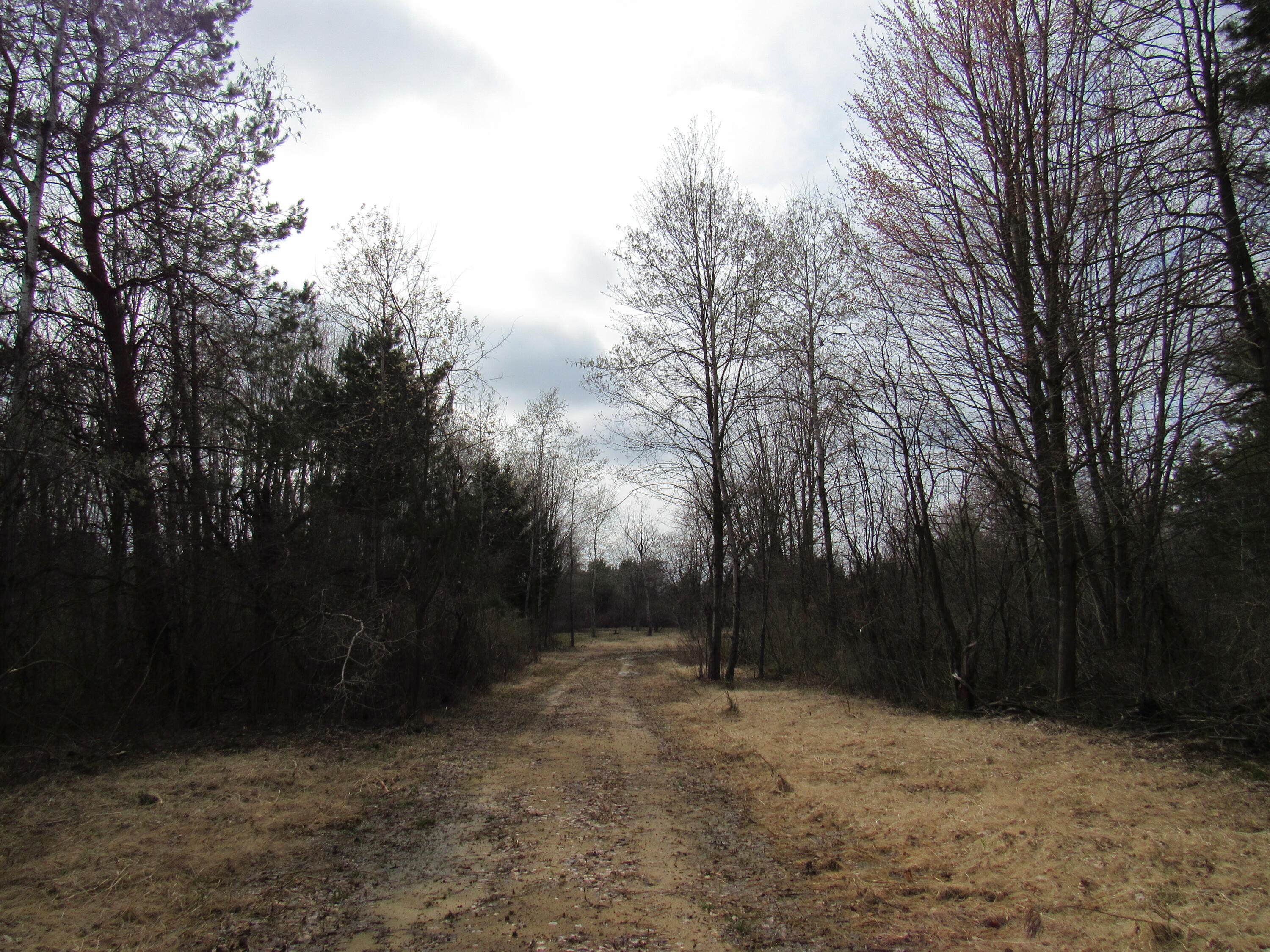 3889 Dalson Road Muskegon, MI 49445 - Photo 2 of 8 Private drive to property