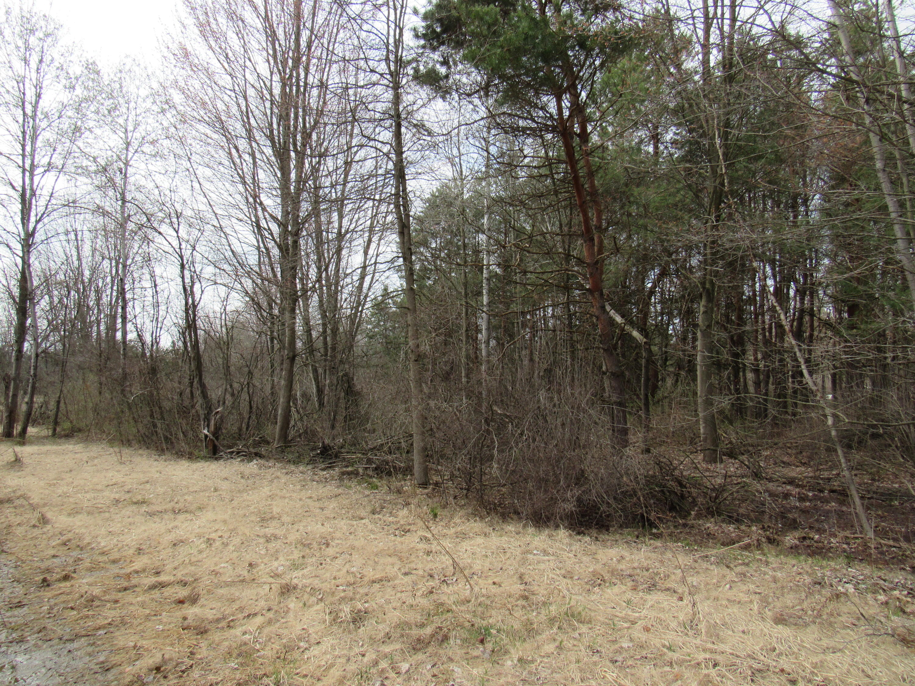 3889 Dalson Road Muskegon, MI 49445 - Photo 3 of 8 5.5 acres