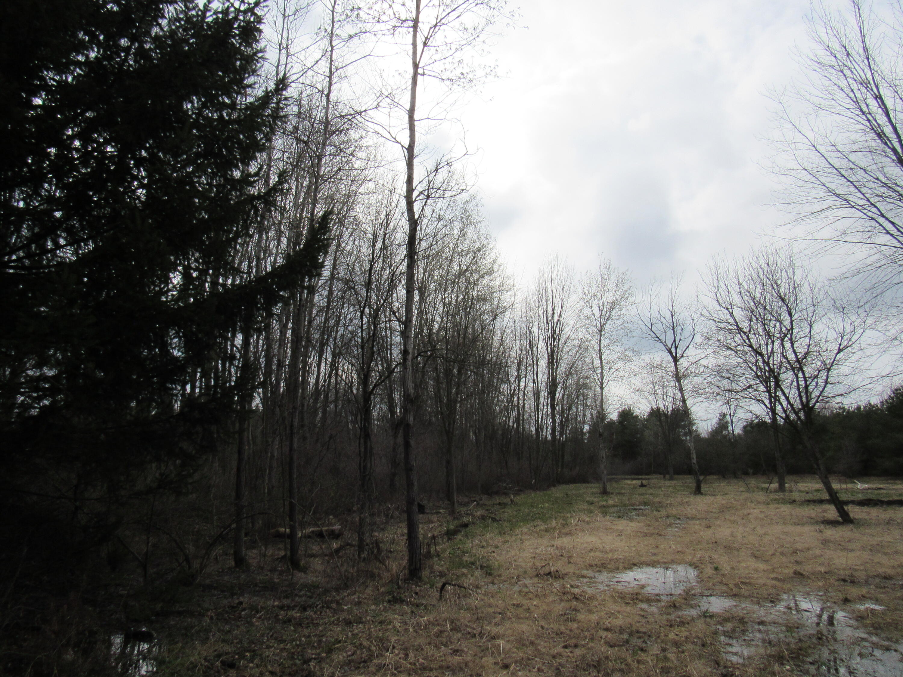 3889 Dalson Road Muskegon, MI 49445 - Photo 4 of 8 Dalson Road