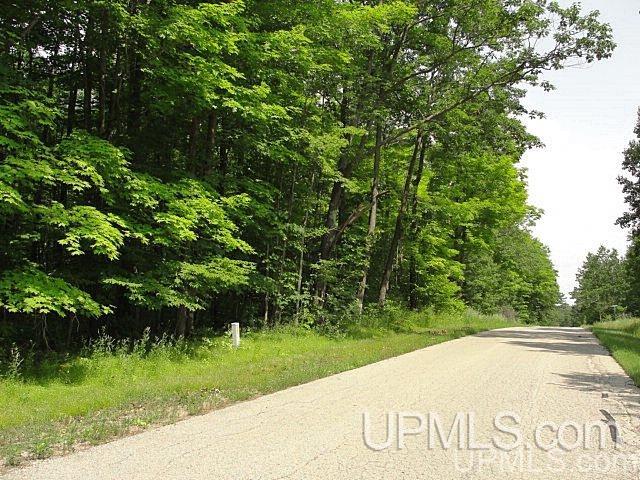 V-wi Point Lane Oconto, WI 54153 - Photo 5 of 7