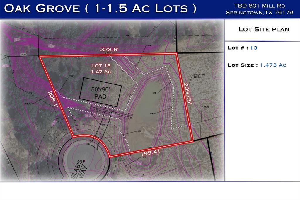 708 Slabs Way Springtown, TX 76082 - Photo 4 of 10