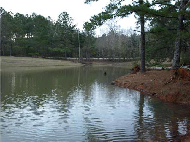87 Archie Road Mount Olive, MS 39119 - Photo 20 of 25 Photo 20