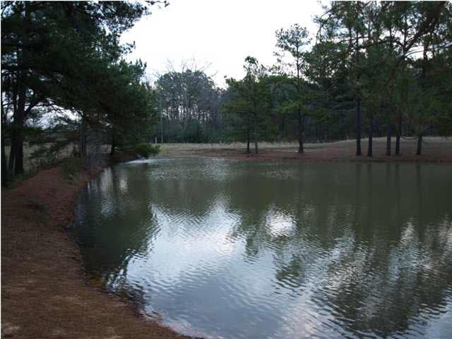 87 Archie Road Mount Olive, MS 39119 - Photo 21 of 25 Photo 21