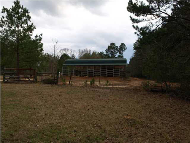 87 Archie Road Mount Olive, MS 39119 - Photo 22 of 25 Photo 22