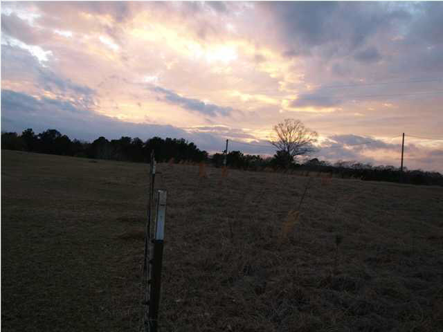 87 Archie Road Mount Olive, MS 39119 - Photo 25 of 25 Photo 25