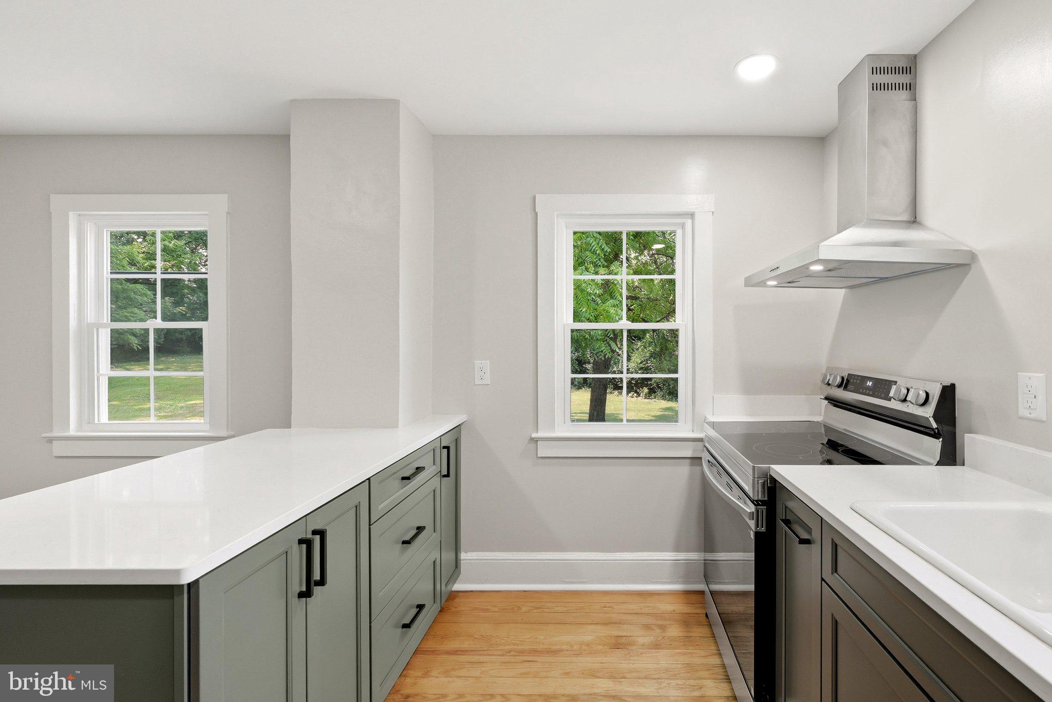 1801 Old Chapel Road Boyce, VA 22620 - Photo 25 of 55 Stainless Hood and Nice Island