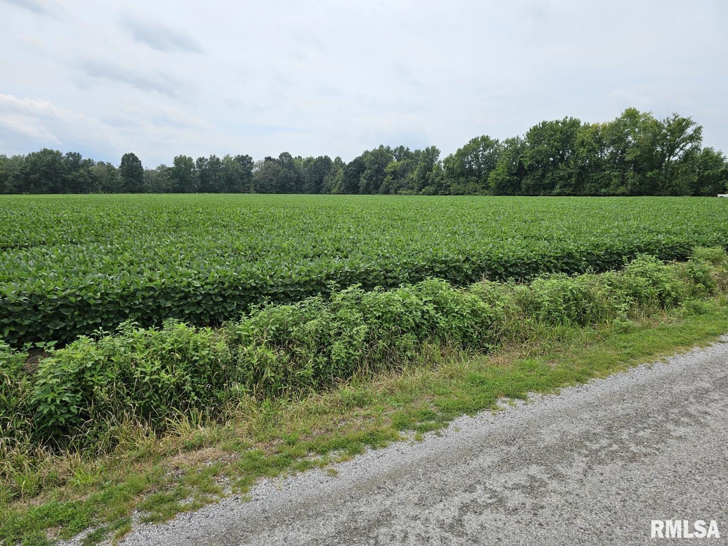 0 East Bethel Road Mount Vernon, IL 62864 - Photo 10 of 11 Gallery Image 10