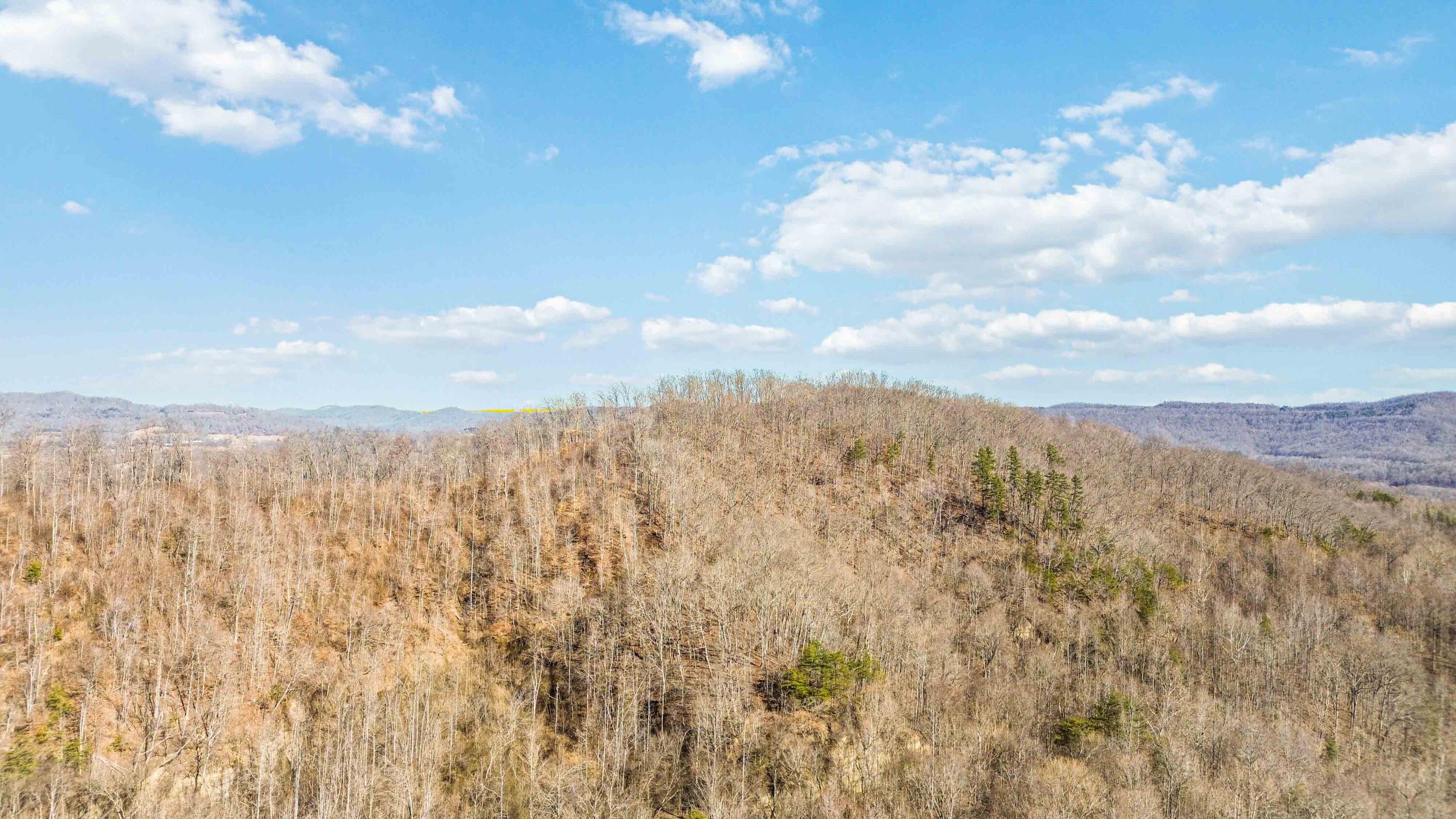 554 Sukey Hollow Road Williamsburg, KY 40769 - Photo 13 of 15 002
