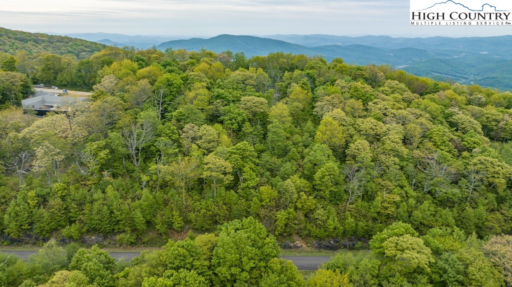 Lot 16 Crown Point Road West Jefferson, NC 28694 - Photo 17 of 27 Gallery Image 17