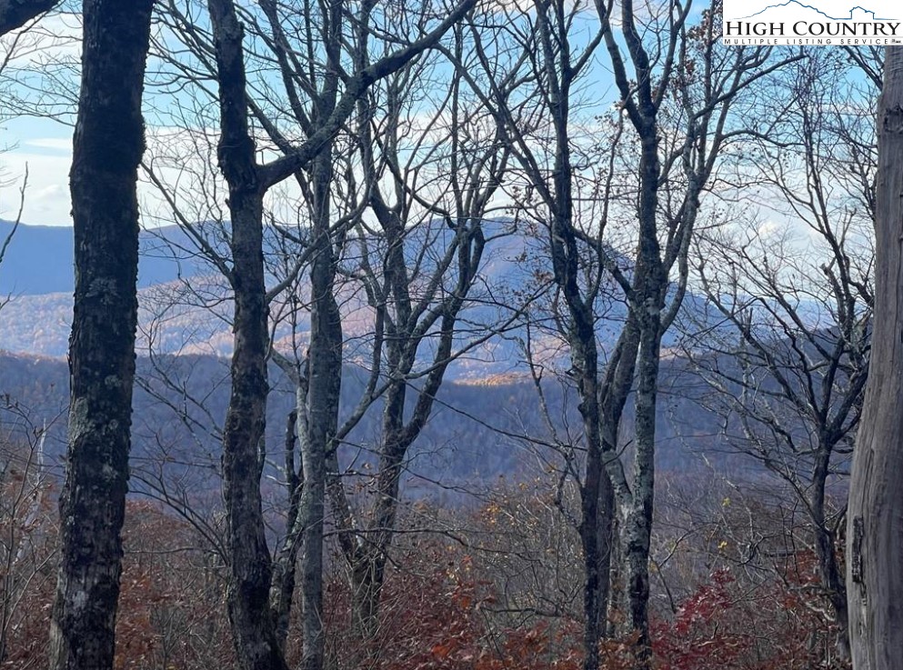 Lot 16 Crown Point Road West Jefferson, NC 28694 - Photo 26 of 27 Gallery Image 26