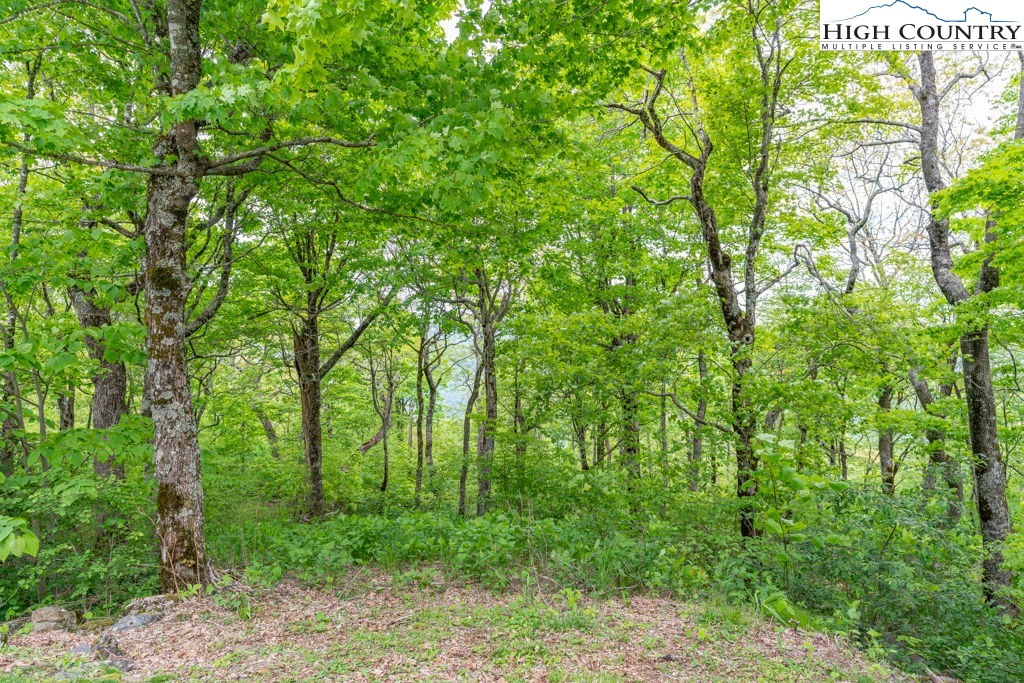 Lot 16 Crown Point Road West Jefferson, NC 28694 - Photo 7 of 27 Gallery Image 7