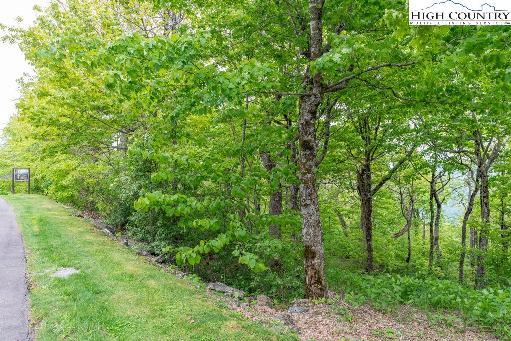 Lot 16 Crown Point Road West Jefferson, NC 28694 - Photo 8 of 27 Gallery Image 8