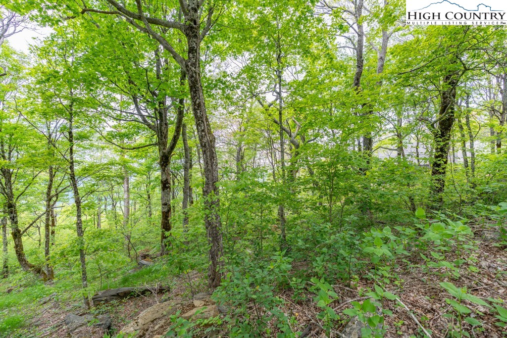 Lot 16 Crown Point Road West Jefferson, NC 28694 - Photo 10 of 27 Gallery Image 10