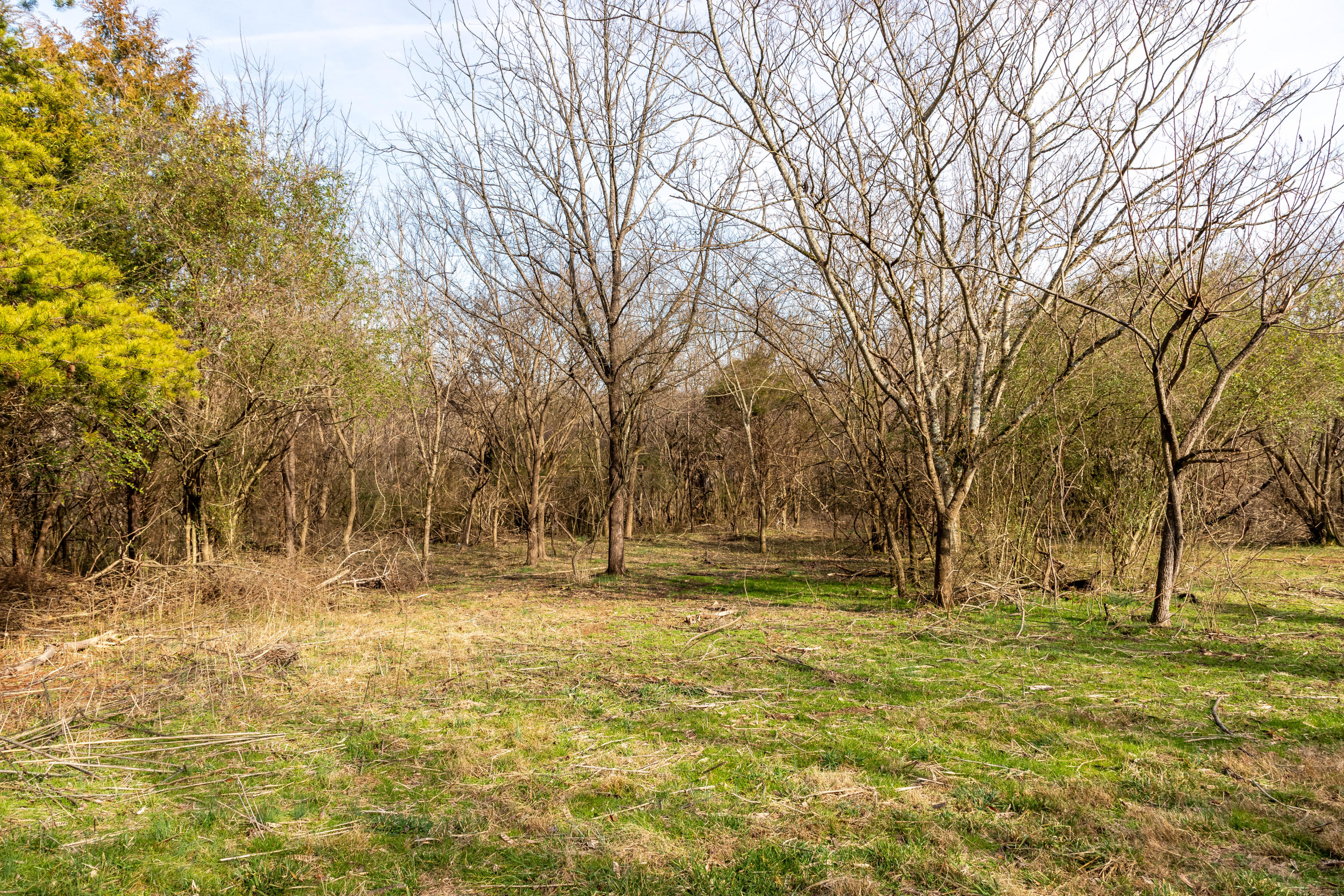 Rest Camp Road Lenoir City, TN 37772 - Photo 5 of 12 IMG_7922-HDR