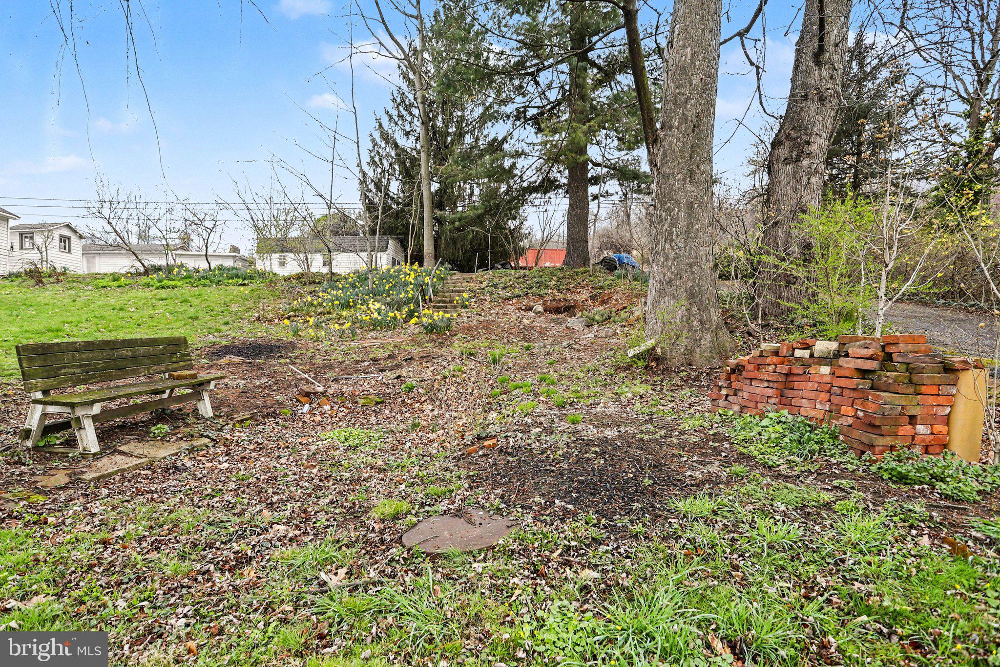 924 River Road Marysville, PA 17053 - Photo 31 of 32 a view of backyard with tree