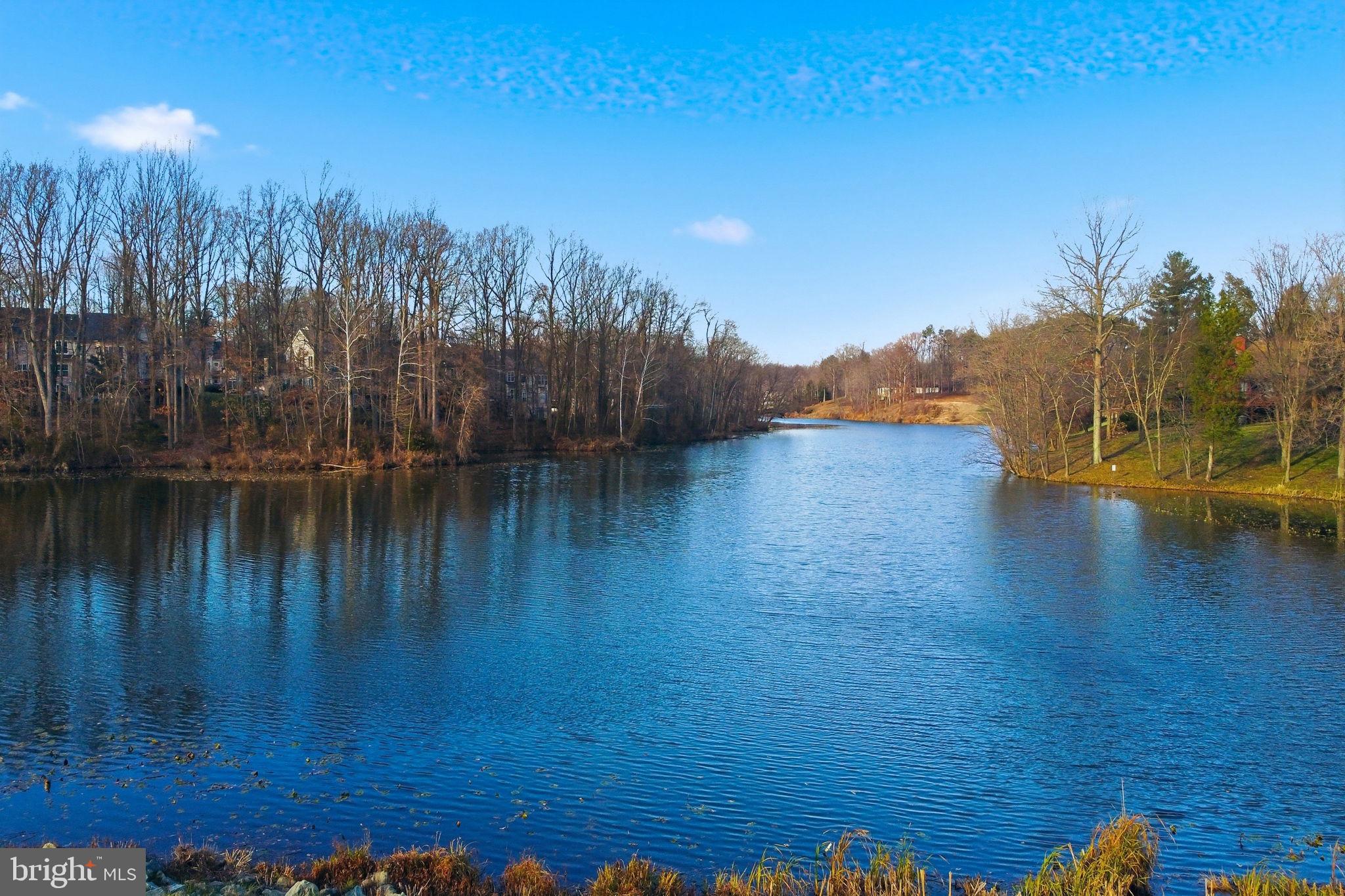12302 Prospect Landing Bowie, MD 20721 - Photo 93 of 104 Walking trails and a nice lake!
