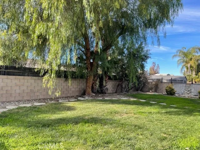 a view of a backyard