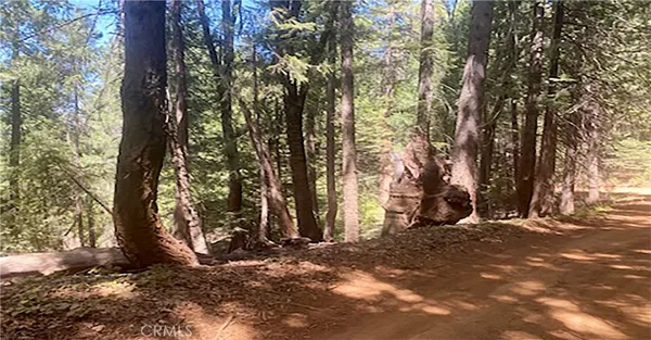 a view of road and trees