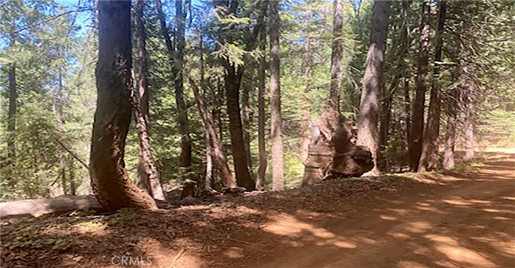 15052 Red Hill Spring Road Grass Valley, CA 95945 - Photo 3 of 12 Corner of lot