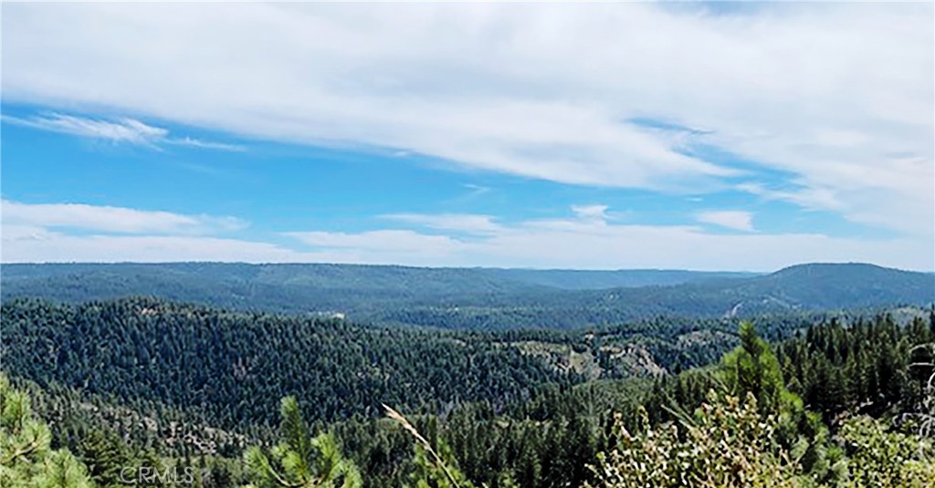 15052 Red Hill Spring Road Grass Valley, CA 95945 - Photo 10 of 12 VIEW INSIDE LOT