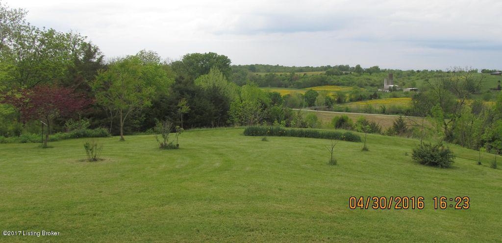 1365 Lenore Road Coxs Creek, KY 40013 - Photo 5 of 35 Front yard 3