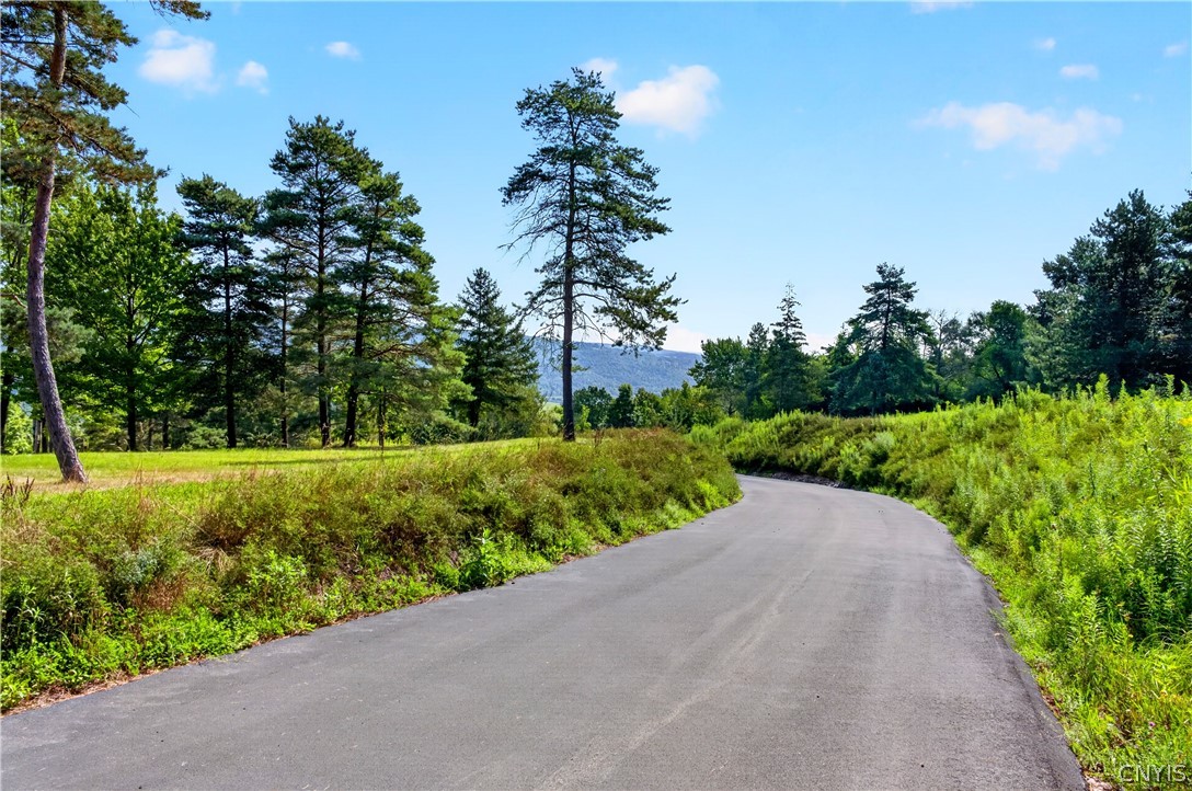 2671 Case Hill Road Otisco, NY 13084 - Photo 41 of 50 Gallery Image 41