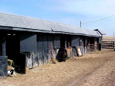 447 Tarr Road Paris, KY 40361 - Photo 4 of 14 Barn needs somework.