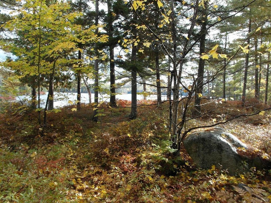 Lot#11 Southwest Pond Road Beddington, ME 04622 - Photo 25 of 35 Looking down the pond to the left of...