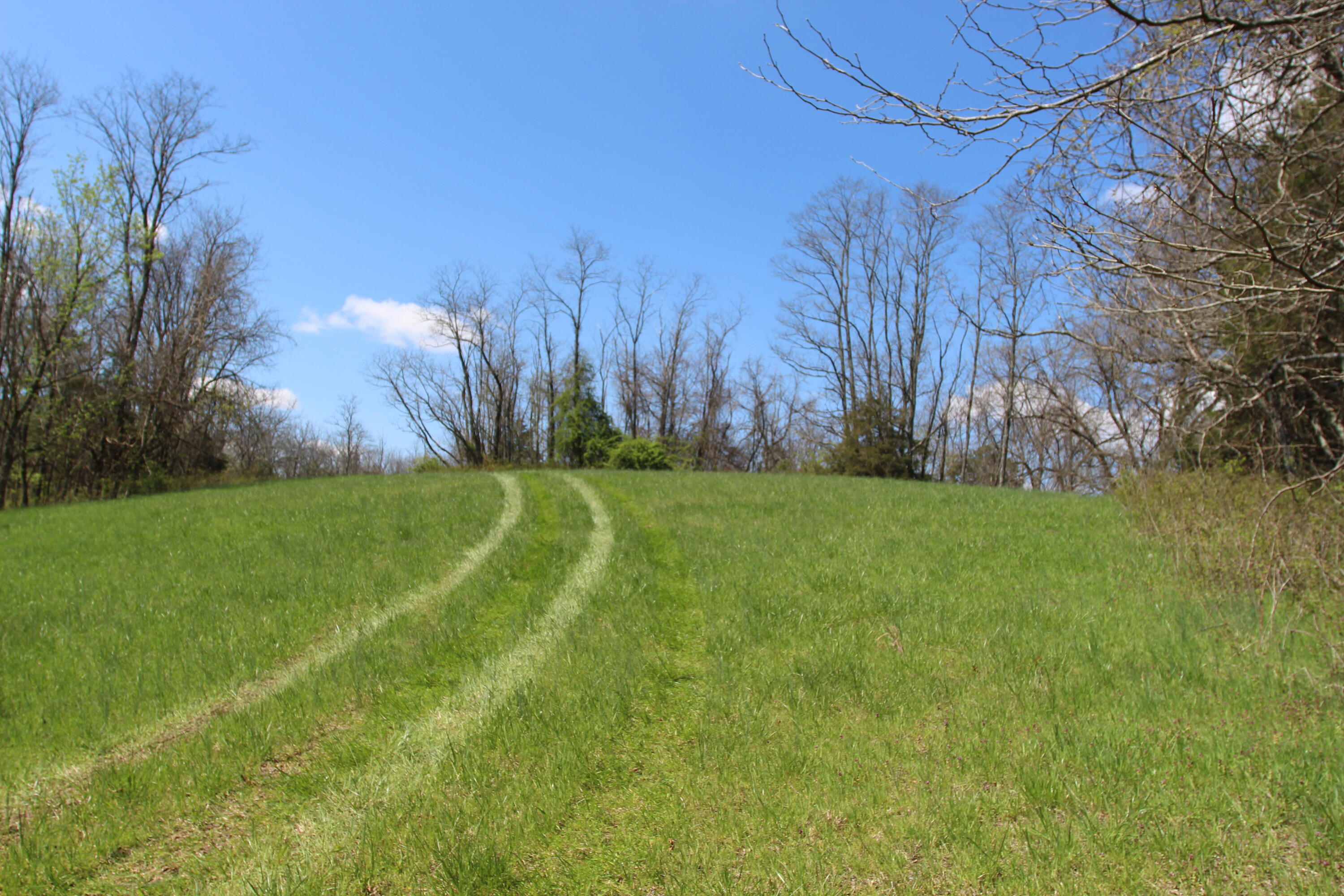 127 Owenton Road Owenton, KY 40359 - Photo 17 of 33 1- land owen county (16)