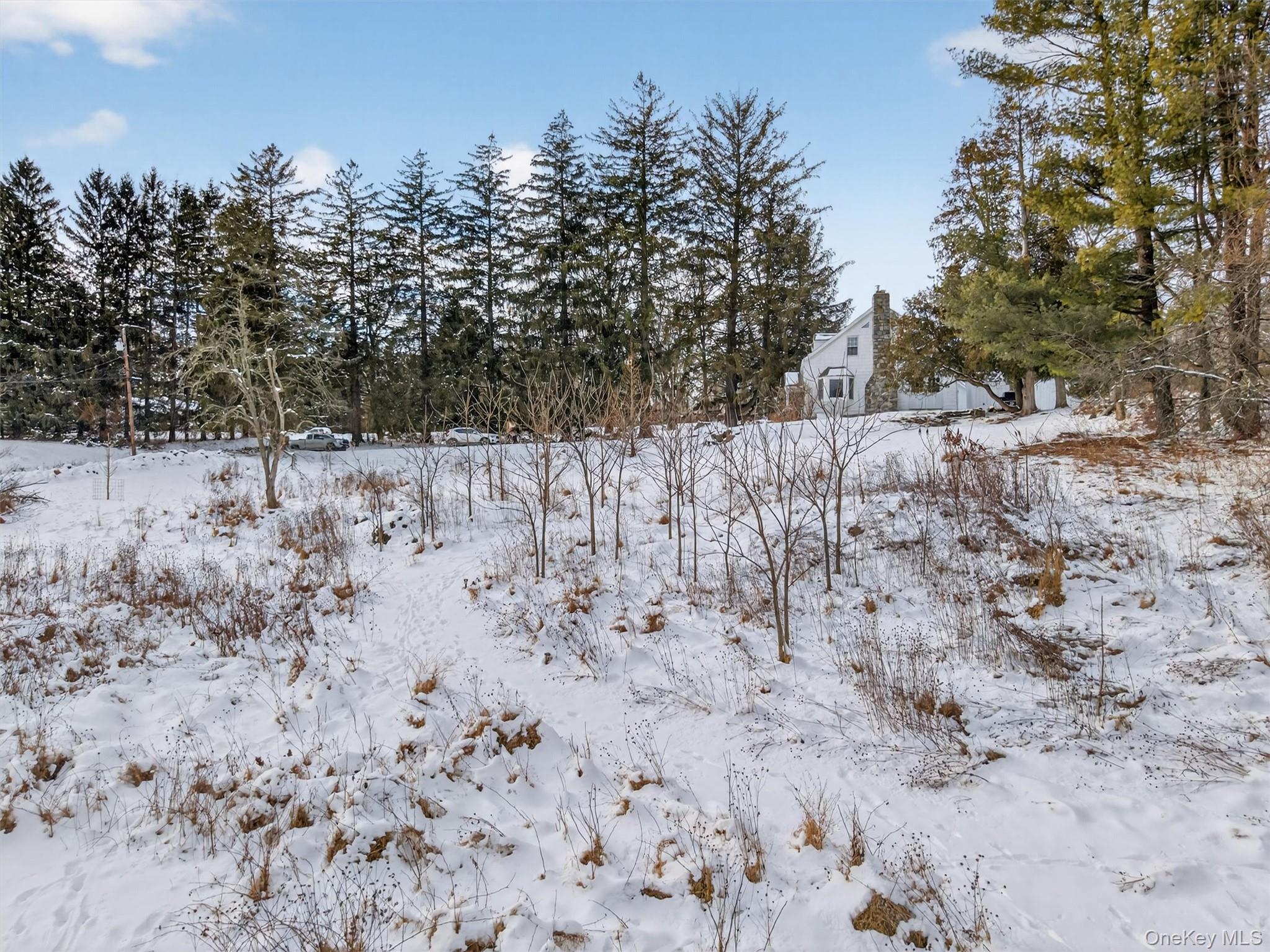 74 Onderdonk Road Warwick, NY 10990 - Photo 34 of 38 a view of a dry yard