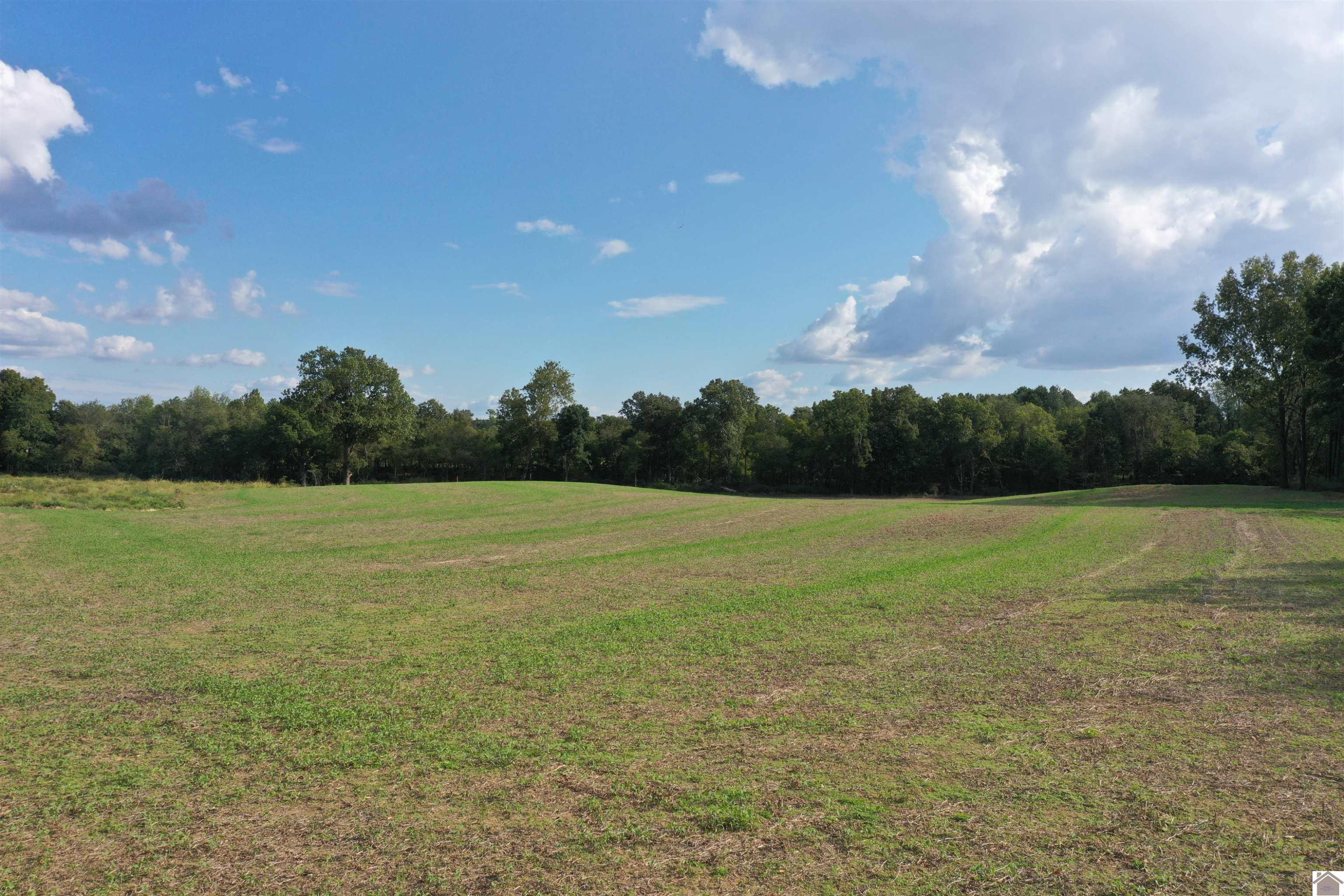 0 Hudson Road Fulton, KY 42041 - Photo 17 of 35 Photo 17
