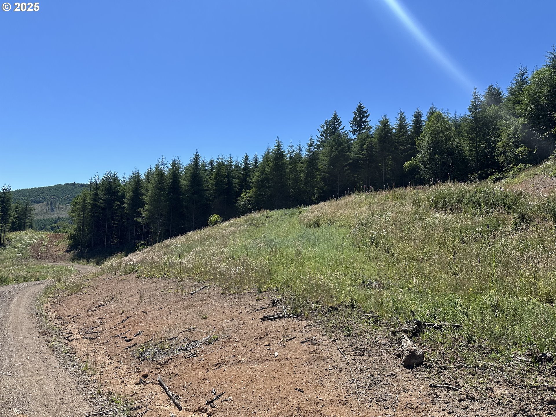 0 Kalama River Road, Unit B Kalama, WA 98625 - Photo 12 of 14 a view of a dry yard with trees in the background