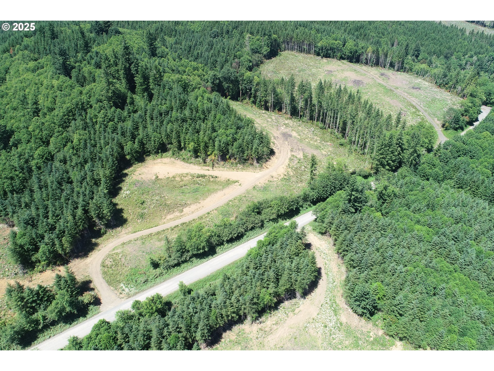 0 Kalama River Road, Unit B Kalama, WA 98625 - Photo 3 of 14 a view of a forest with a street
